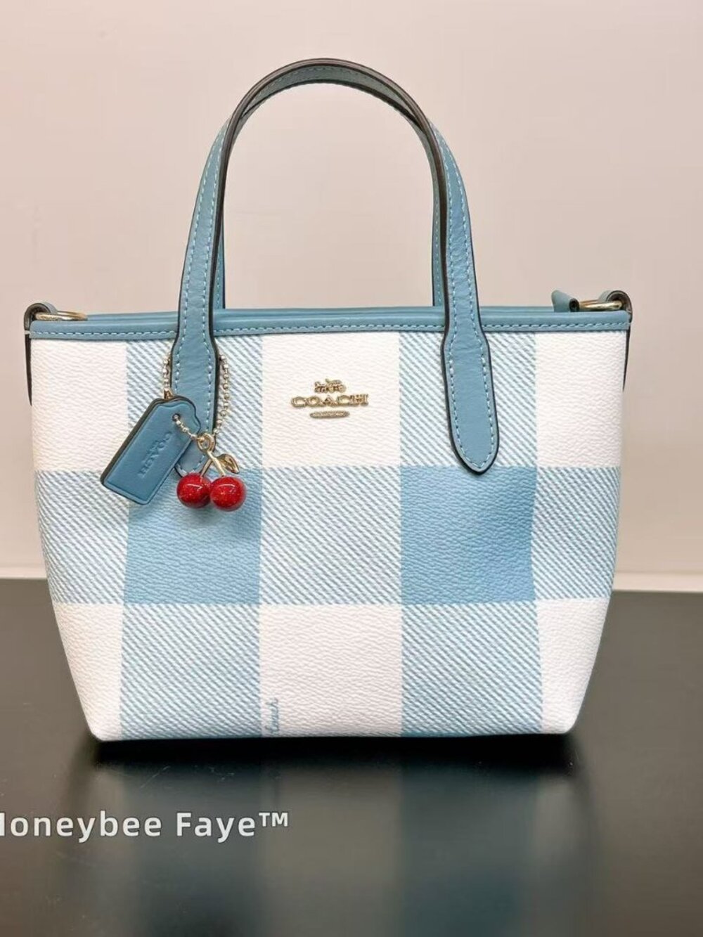 NWT Coach City Mini Tote Bag With Gingham Print And Charm CEU32 Gold/Blue Multi